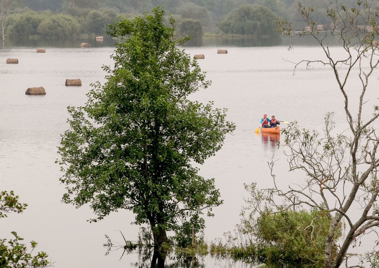 Suvine üleujutus Soomaal Tõramaa puisniidul.
