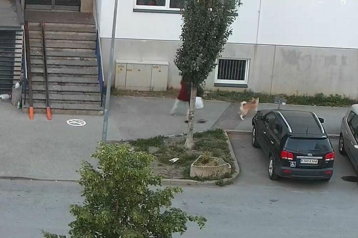 12-летняя девочка вместе с собакой пошла провожать подругу на автобус. Через несколько минут Виталий Николаев отобрал у нее собаку.