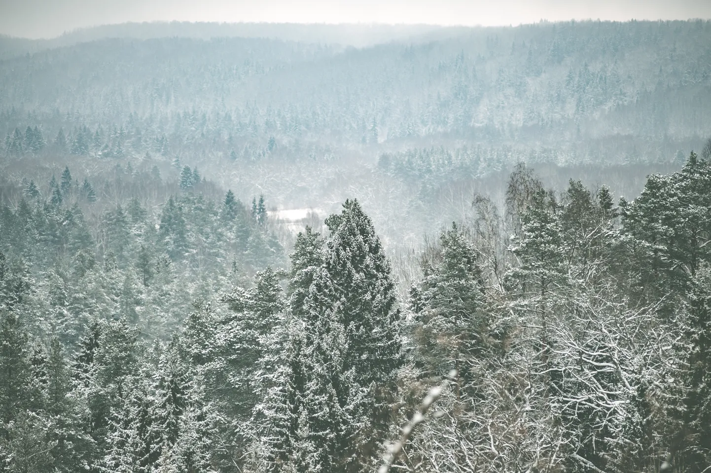 Foto: Siguldai piestāv arī ziema