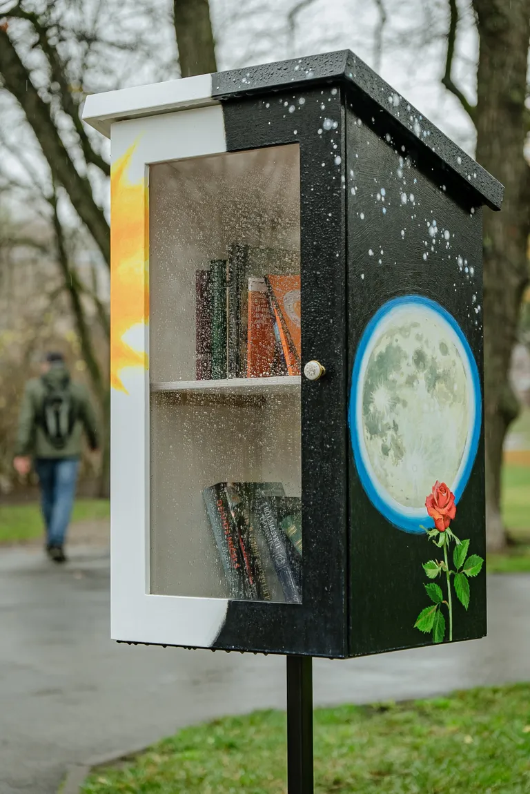 Книжные домики на Саркандаугаве