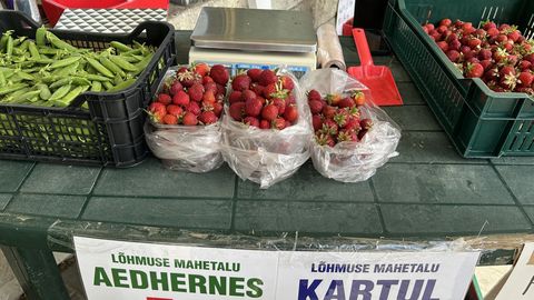 Esimesed Järvamaa maasikad osteti ära mõne tunniga