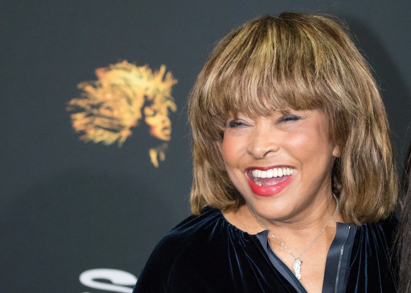 Lauljanna Tina Turner