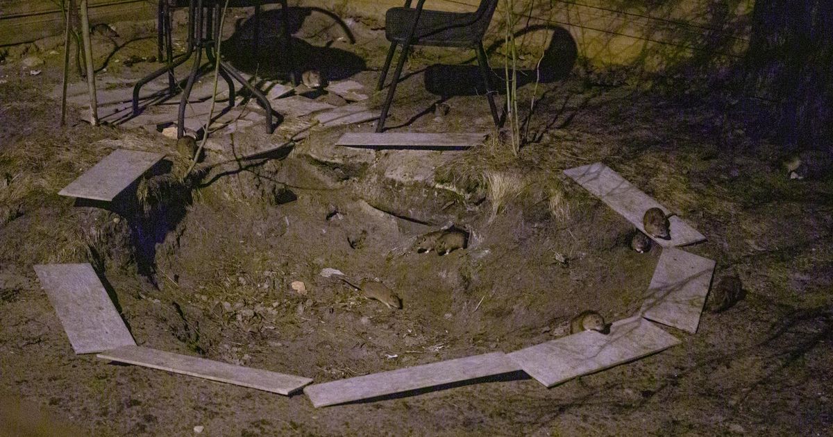 В Эстонии появилась новая достопримечательность: люди приезжают ...