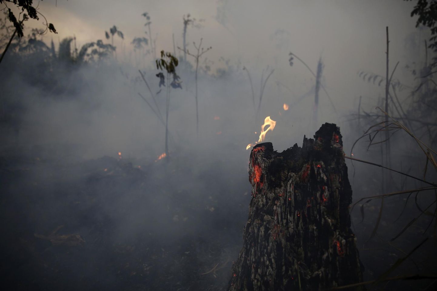 Amazonase vihmamets põleb rekordilise kiirusega, kuid Brasiilia presidendi Jair Bolsonaro arvates on põlengud tavaline nähtus. 