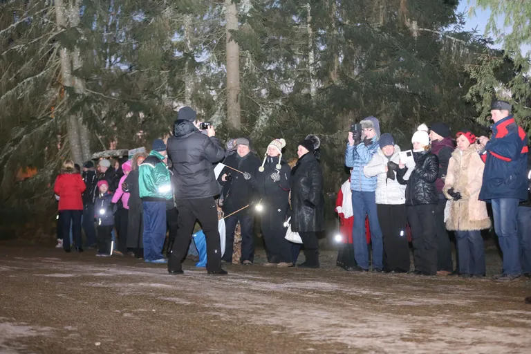 Artikli foto