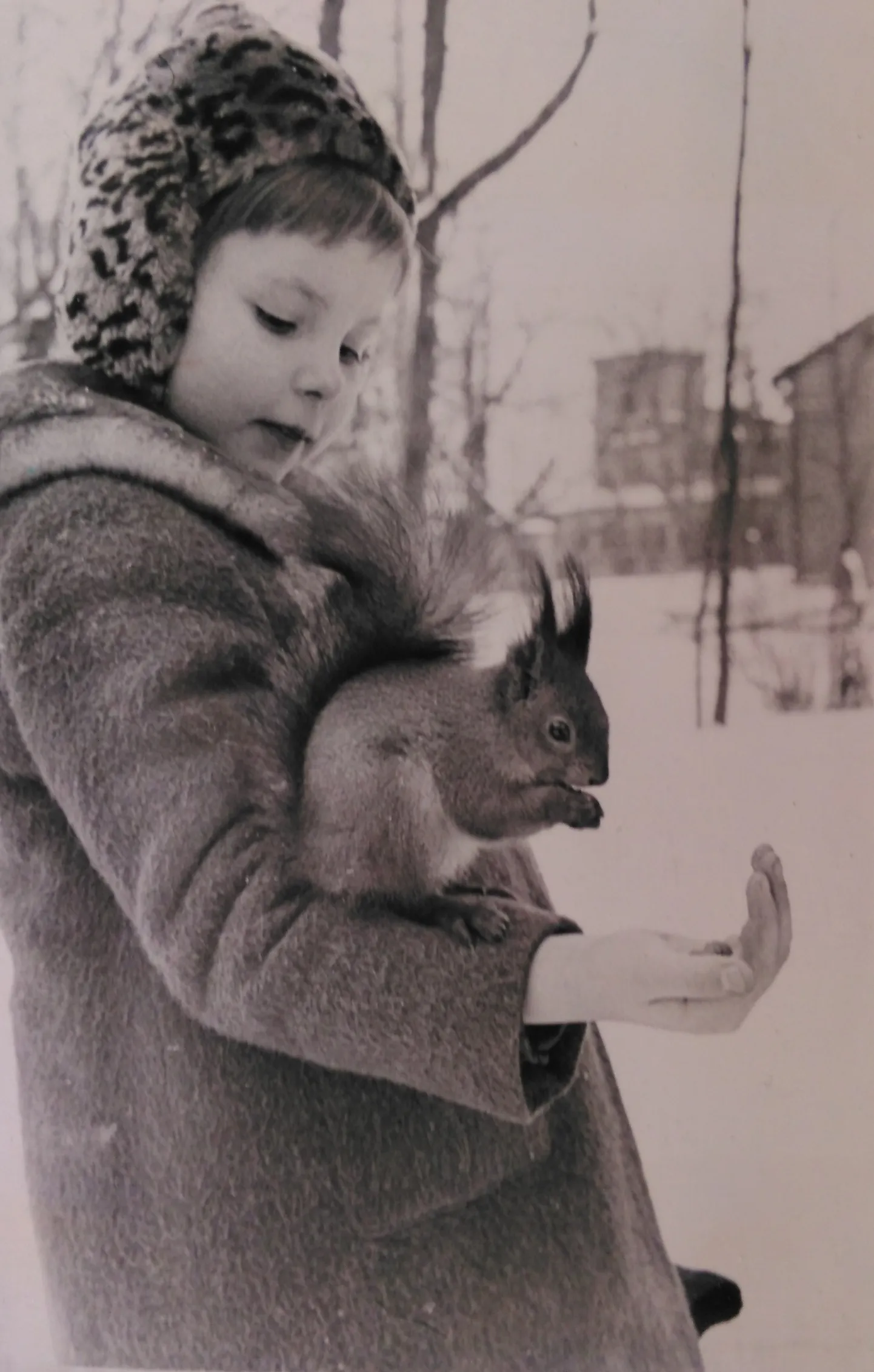 MIKI-MIKI: Merle Tilling (Viskus) 1965.–1966. aasta paiku pargioravaga sõprust sobitamas. Taamal vana polikliinikuhoone.