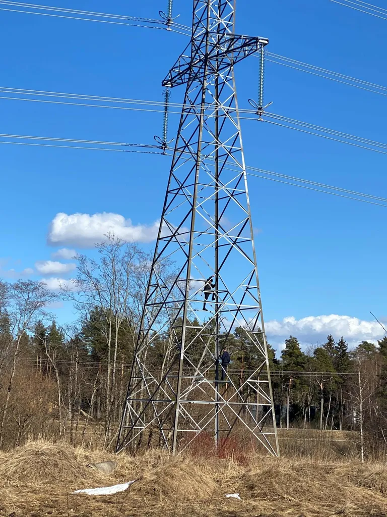 Lapsed ei taju ohtu elektris, vaid arvavad, et neid ohustab ainult kukkumine. 110kilovoldise pingega liini juures võib elektrilöök toimuda juba 1–2 meetri kauguselt.