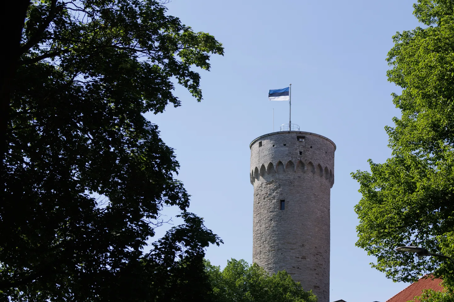 Eesti lipp Pika Hermanni tornis.