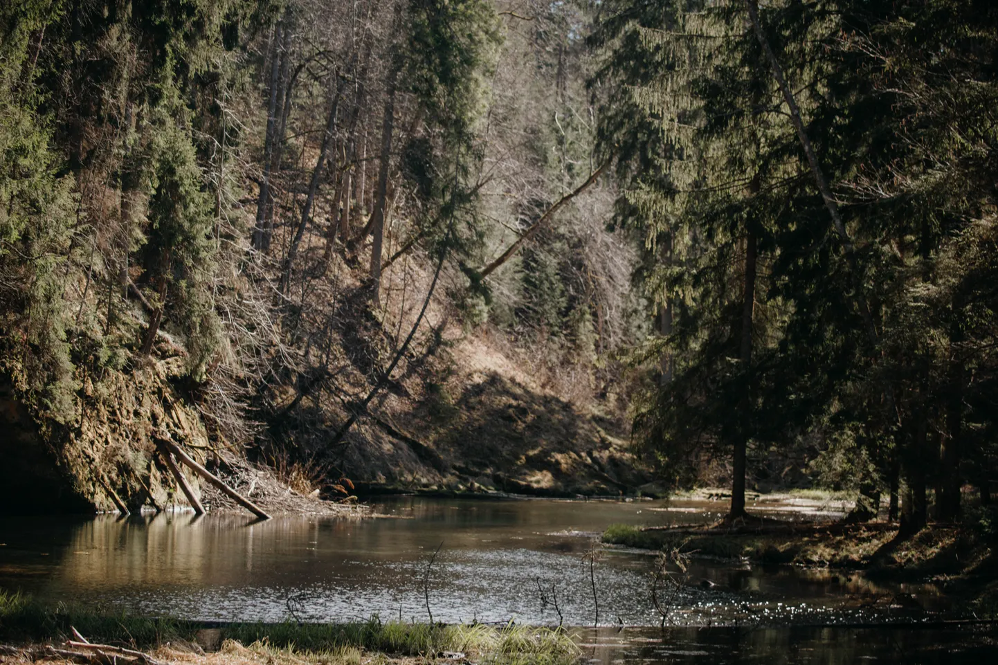 Фото статьи