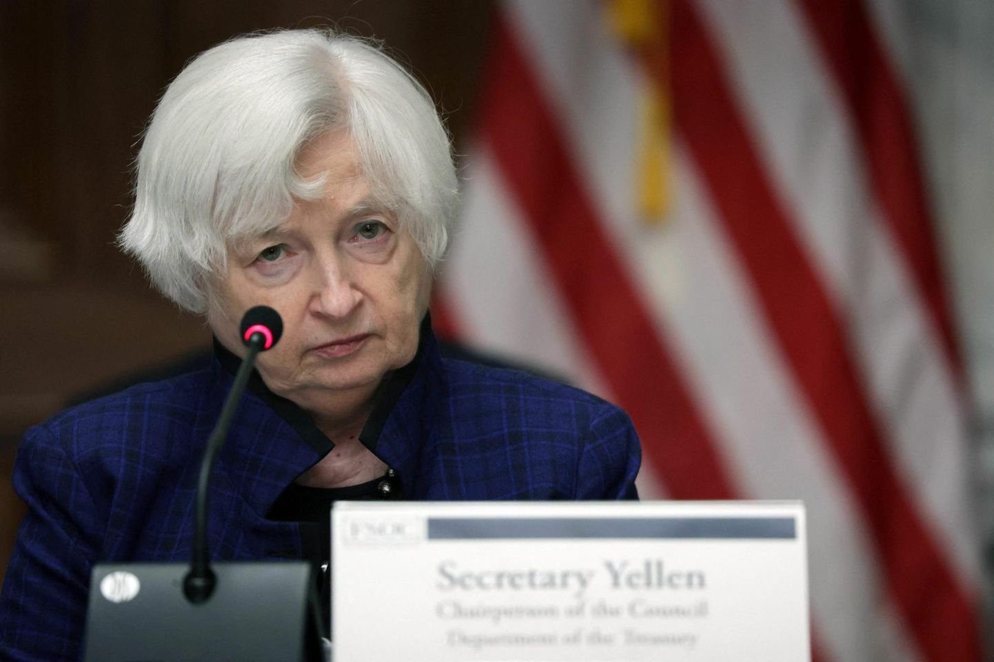 Ameerika Ühendriikide rahandusminister Janet Yellen kinnitas alles üsna hiljuti, et USA ei kavatse vähemalt esialgu üleilmset tulumaksu koguma hakata.