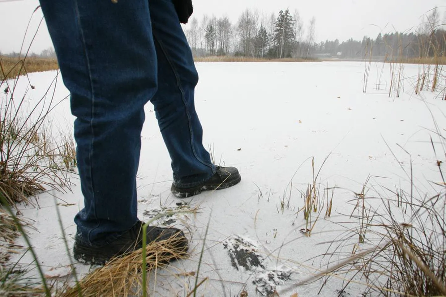 Holstre väikejärve katab küll näiliselt tugev jää, kuid kui sellele astuda, kostab kohe hoiatav praksatus.