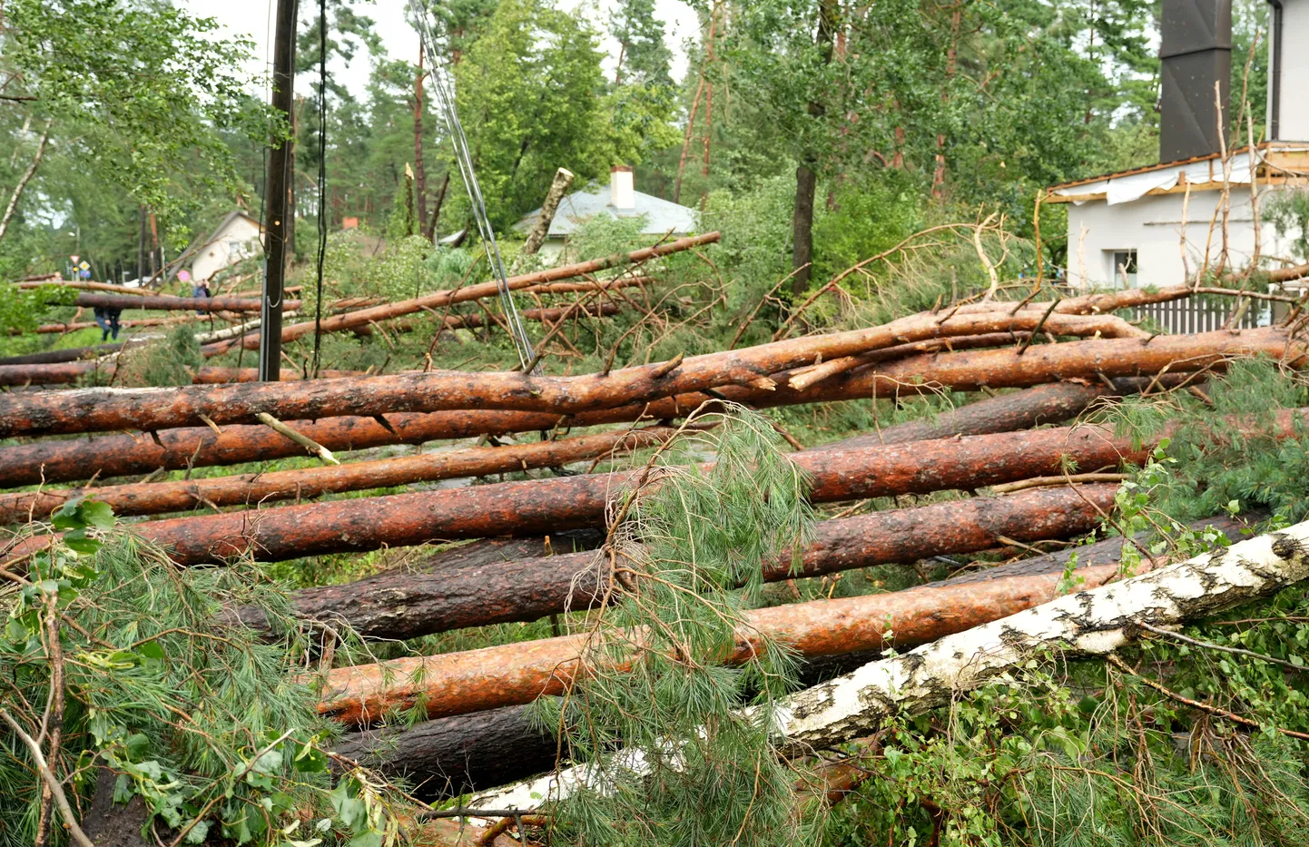 Raksta foto