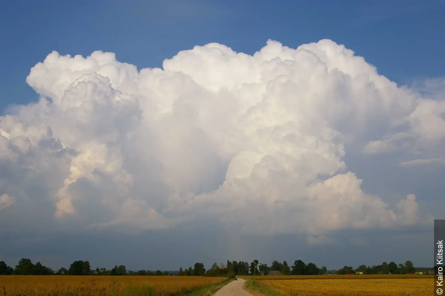 WMO üleilmsesse pilveatlasesse valitud Kairo Kiitsaku Simunas jäädvustatud foto lähenevast äikesetormist.