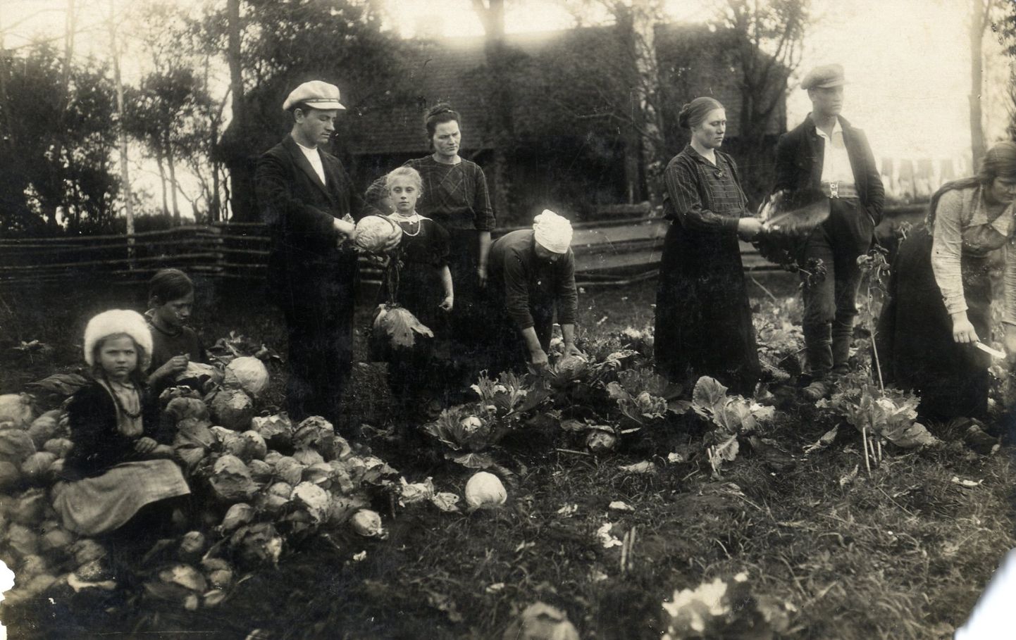 Lauku darbi kopā ar bērniem “Vārniņās” pie Tārgales 1920-30tie.