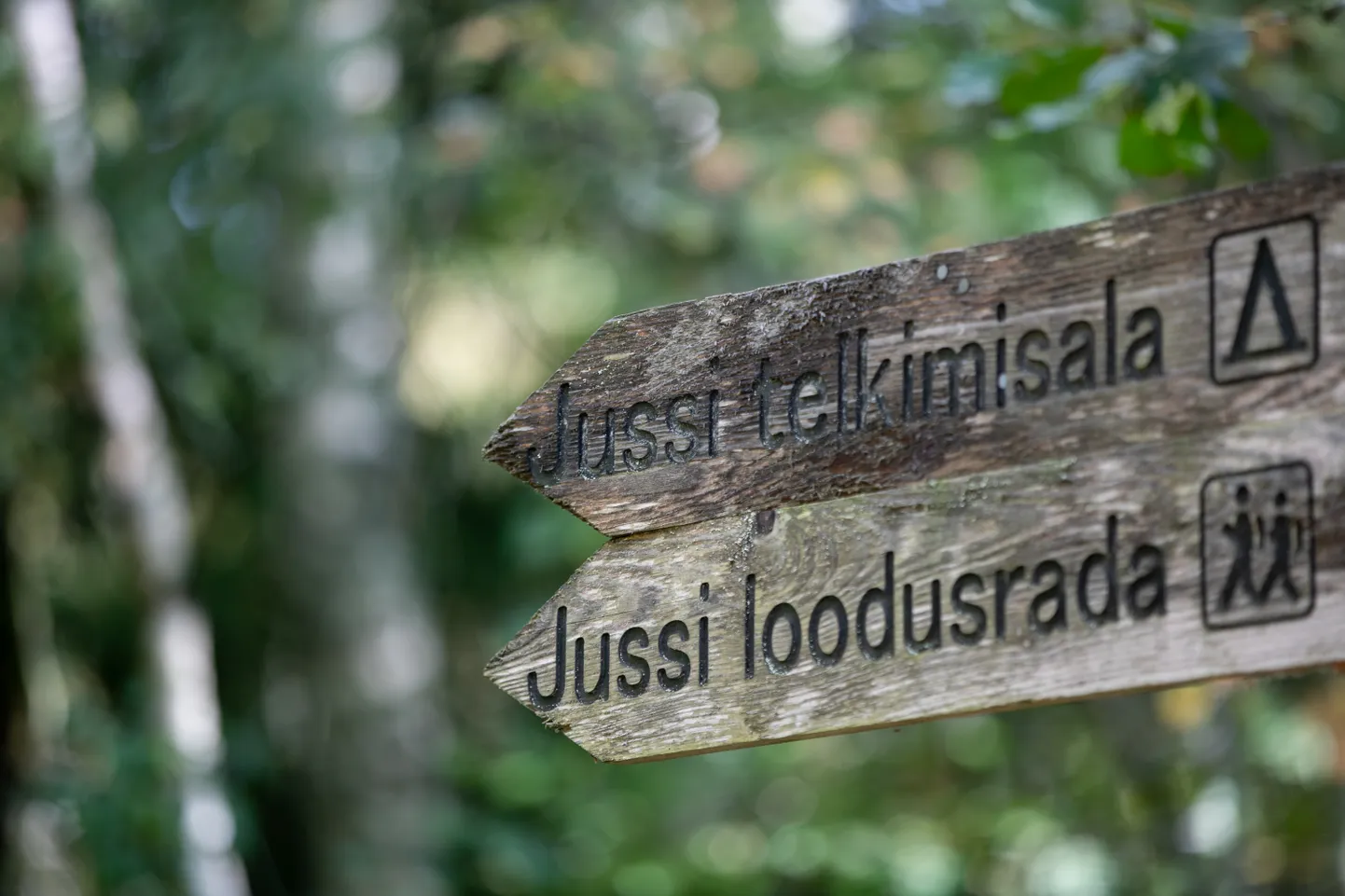 Jussi loodusraja ja telkimisala teeviit Põhja-Kõrvemaal.