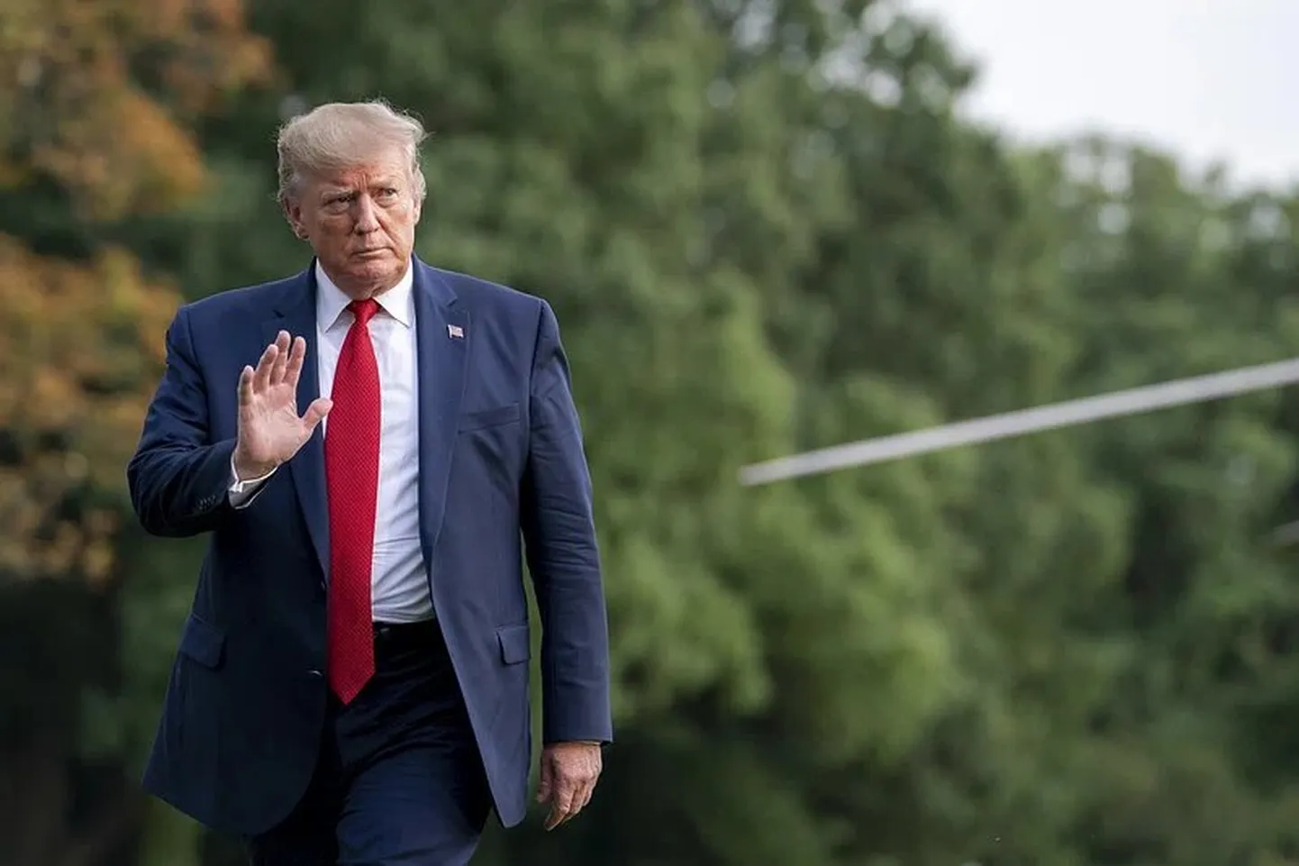Tump