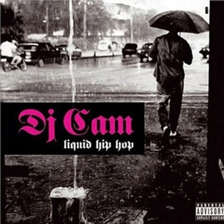 Dj Cam "Liquid Hip Hop" 