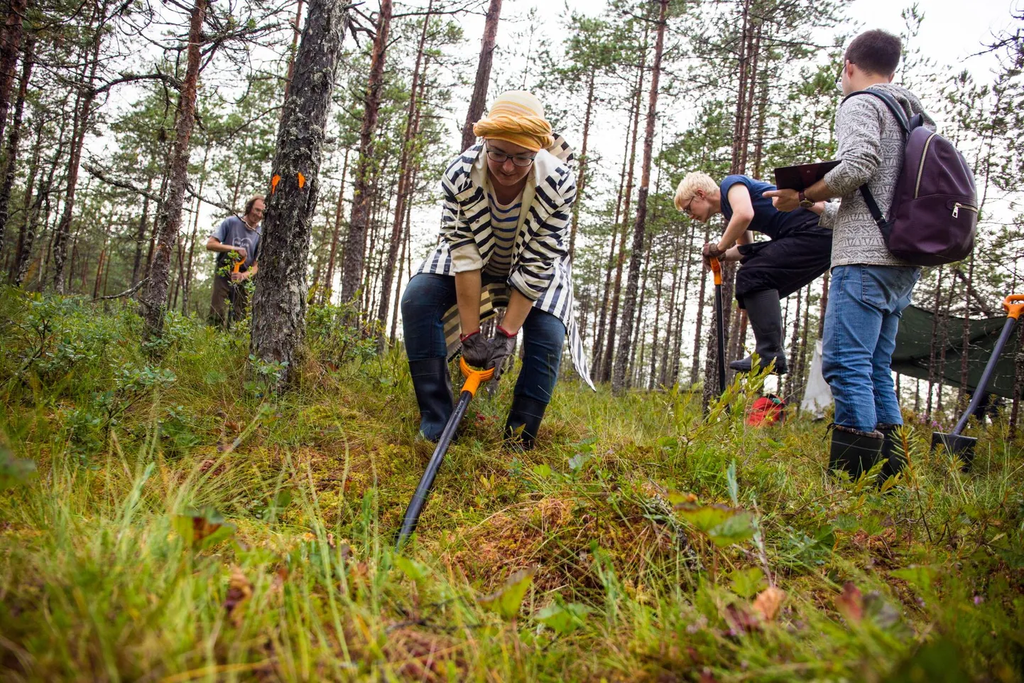 Kuivenduskraavidele käsitsi tammide rajamine on raske füüsiline töö, mille tegemiseks leiavad jõu endas need vähesed, kes loodusest tõesti hoolivad.