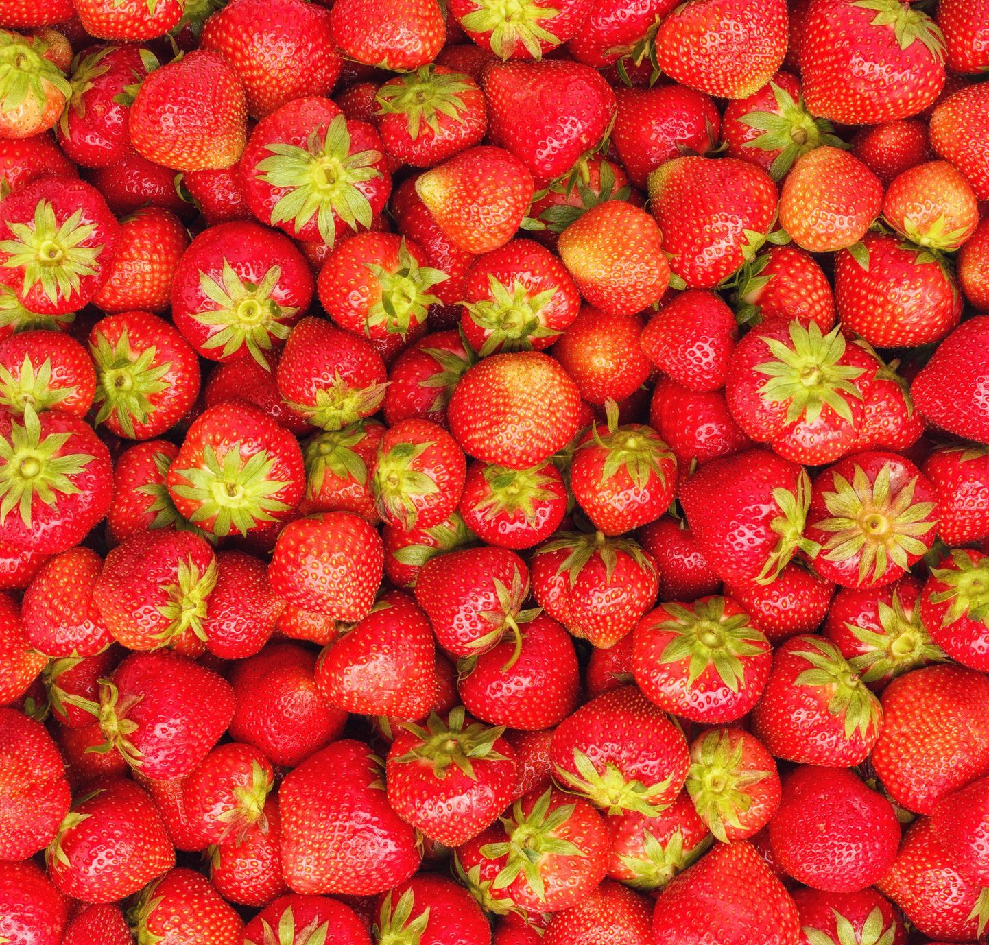Näiteks mõõdeti maasikate vitamiinisisaldust.