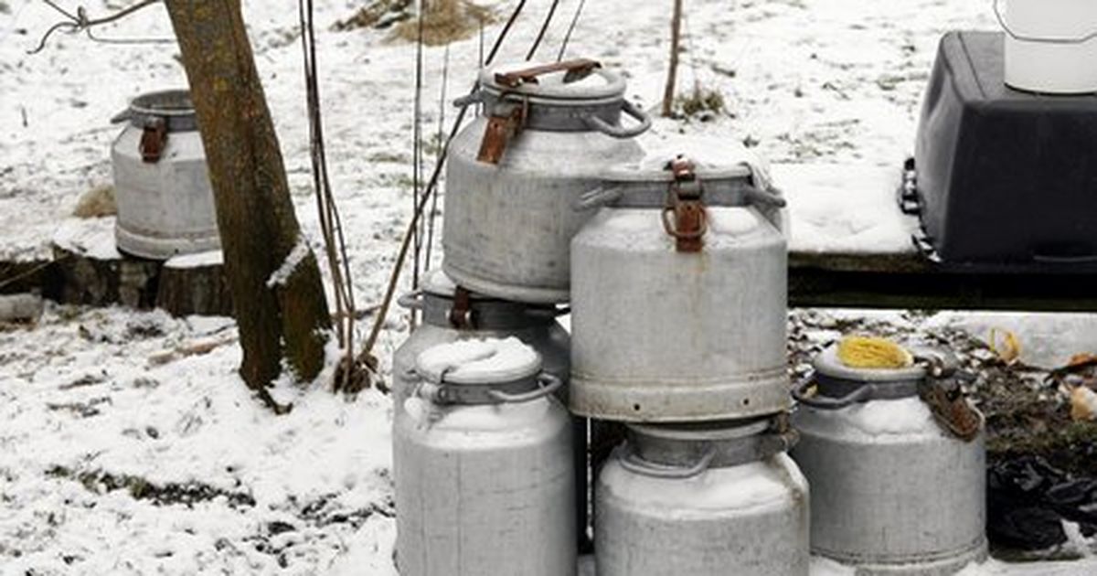 KGB kongide muuseumisse jõuavad metsavendade peidikutena kasutatud piimanõud (1)