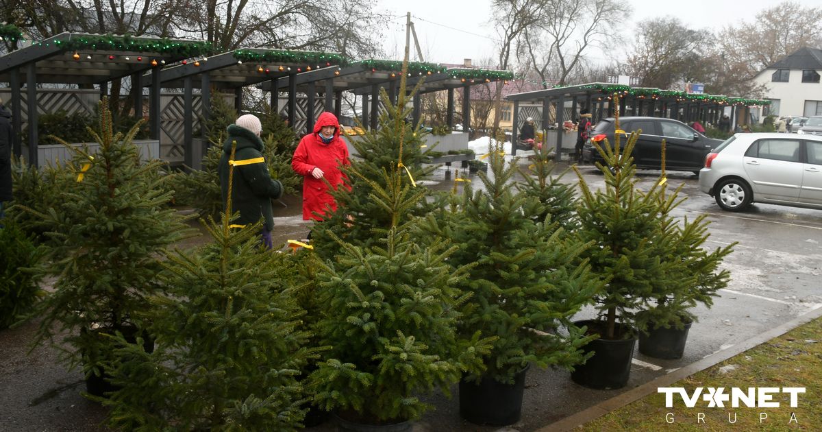 Christmas tree vendors must also comply with the Prohibition of Unfair