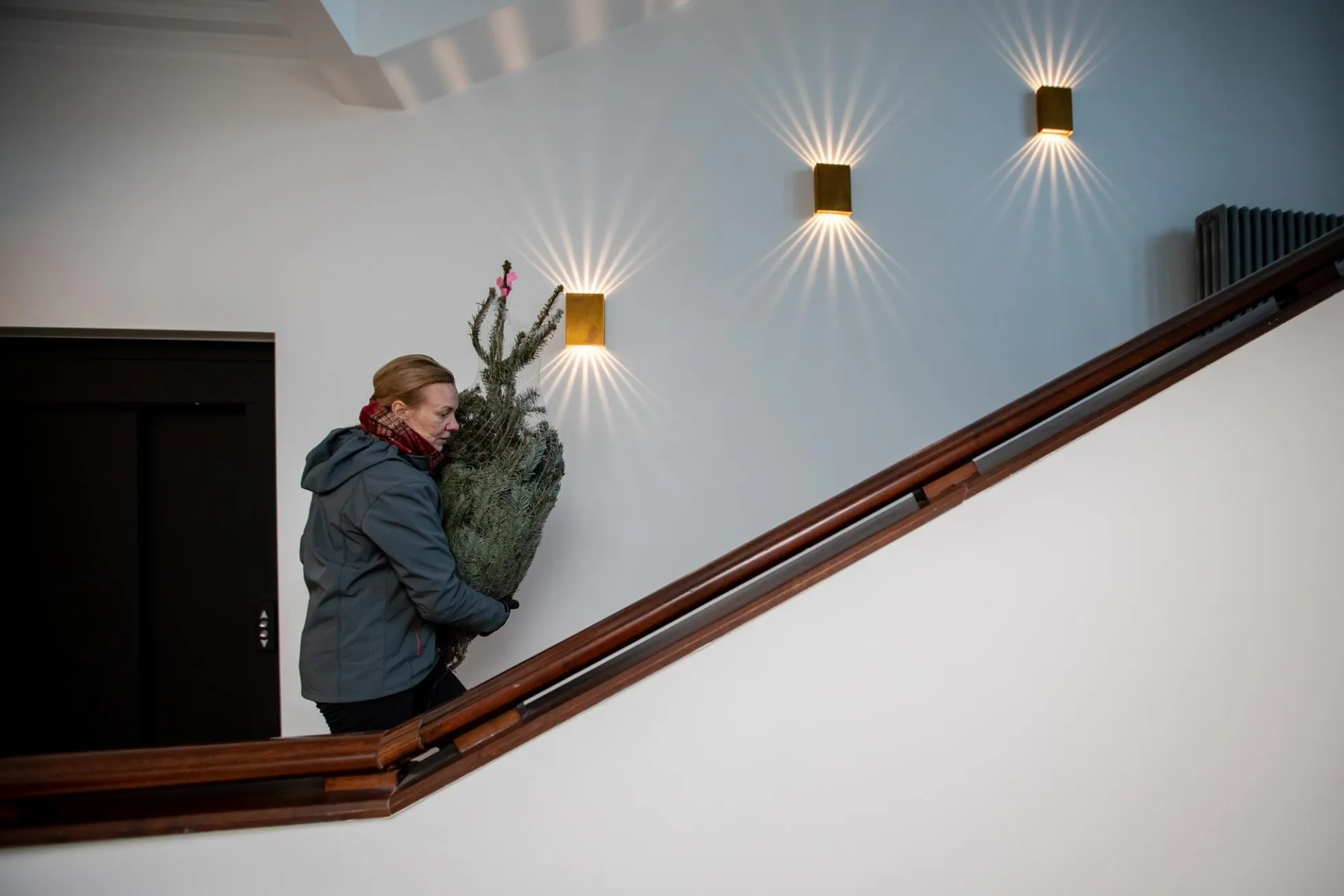 08.12.2021. Tallinn. Kuusekuller Kaire Jakobson. Foto Eero Vabamägi, Postimees FOTO:
