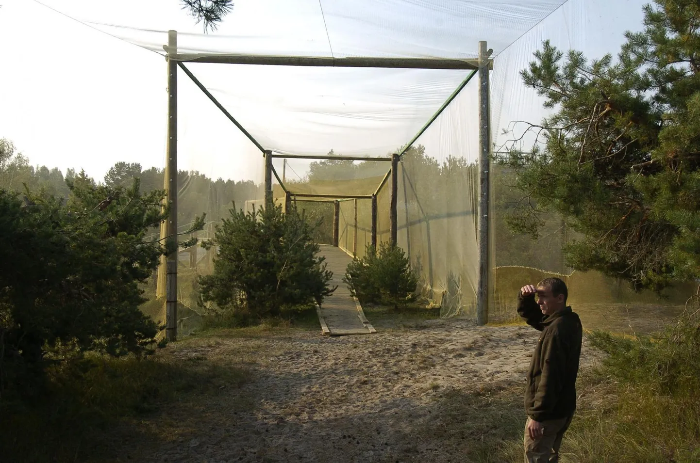 Kabli linnujaam on suurema rände ootel: see algab, kui ilmad jahenevad.