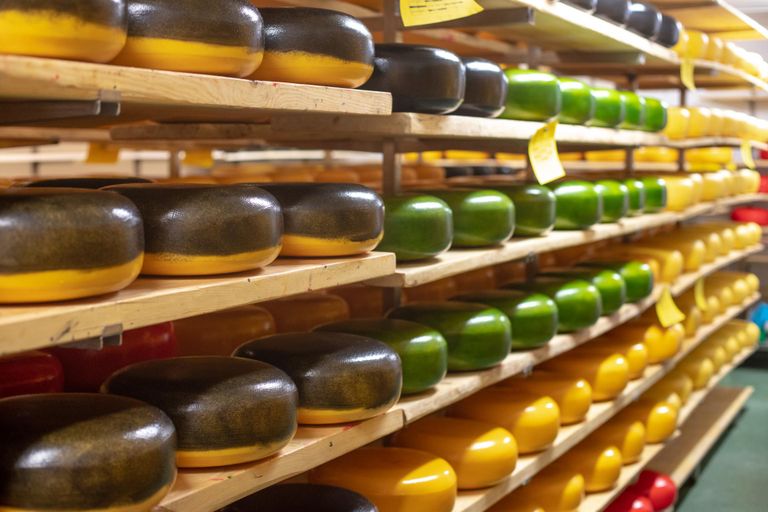 Laagerdusruum on juustudest kirju nagu puslekarp. Just värvid aitavad eri laagerdusajaga juuste üksteisest eraldada.