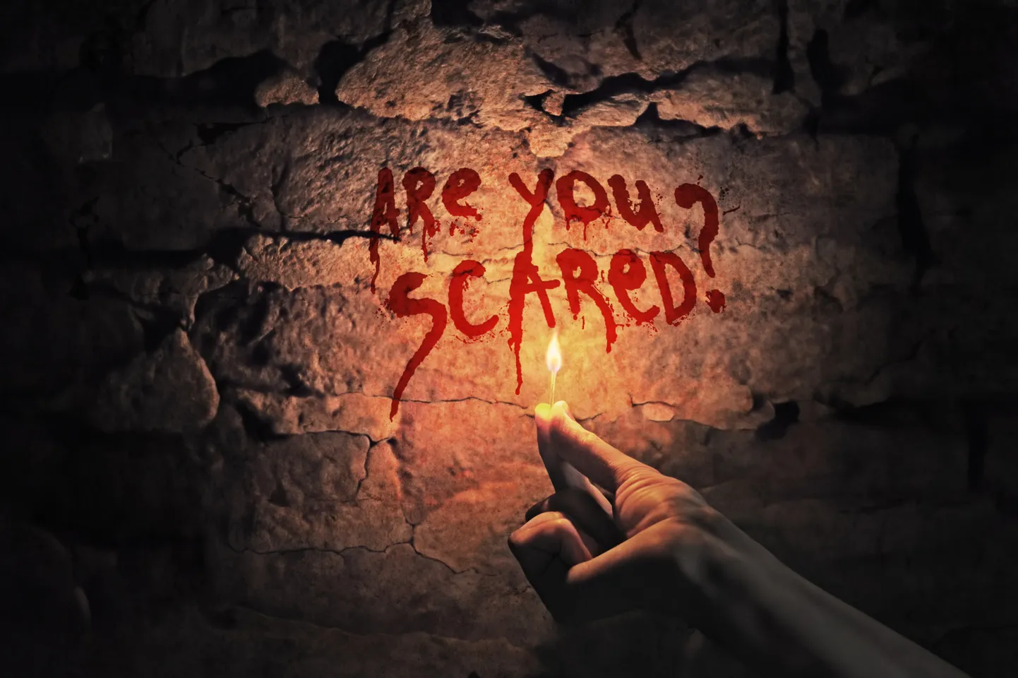 Kas sa kardad?