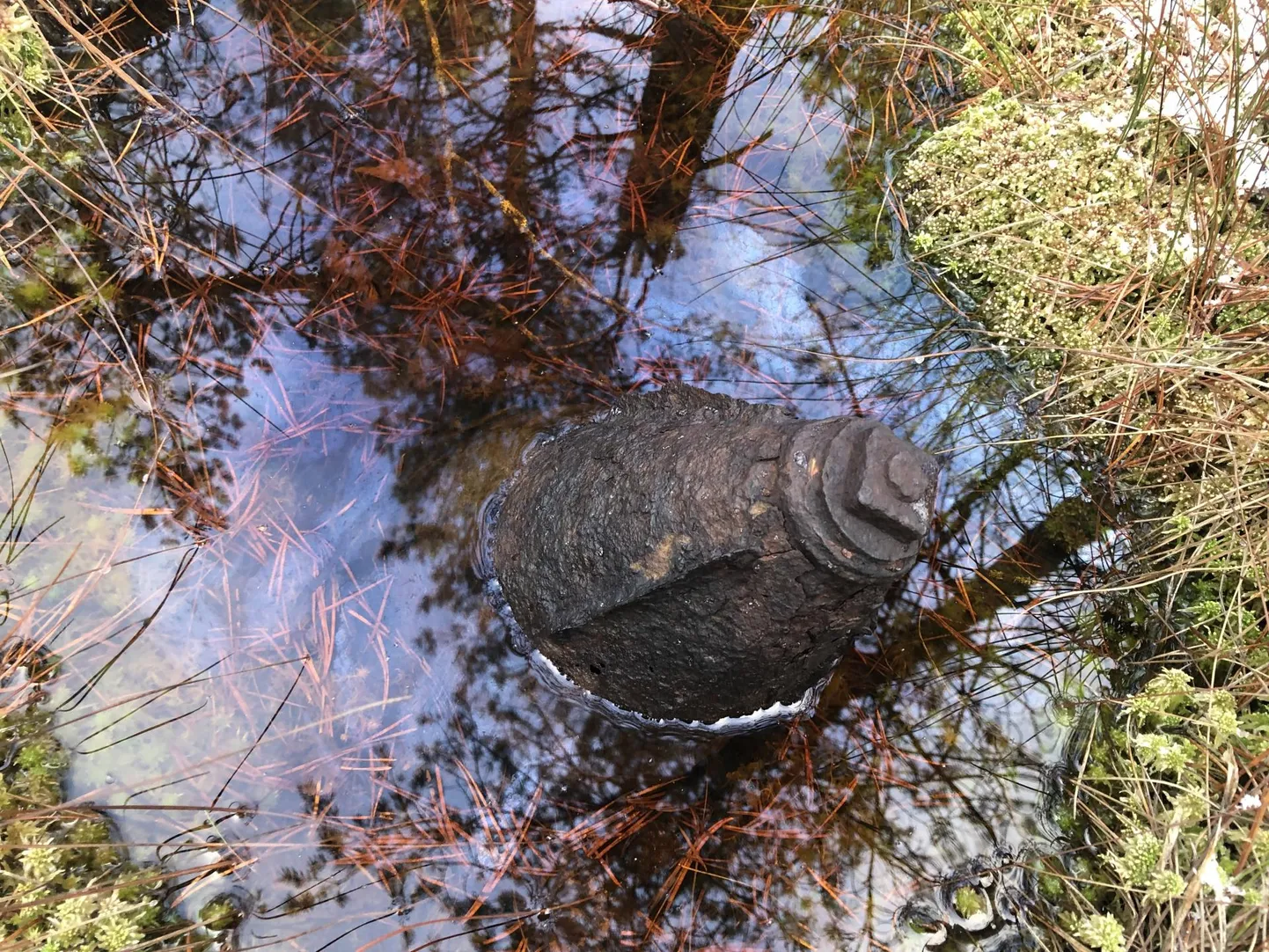 Lennukipommid võivad ajapikku pinnale kerkida näiteks rabadest. Antud juhul nii juhtuski.