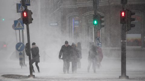 Снежный шторм: в Эстонии объявлено предупреждение первого уровня