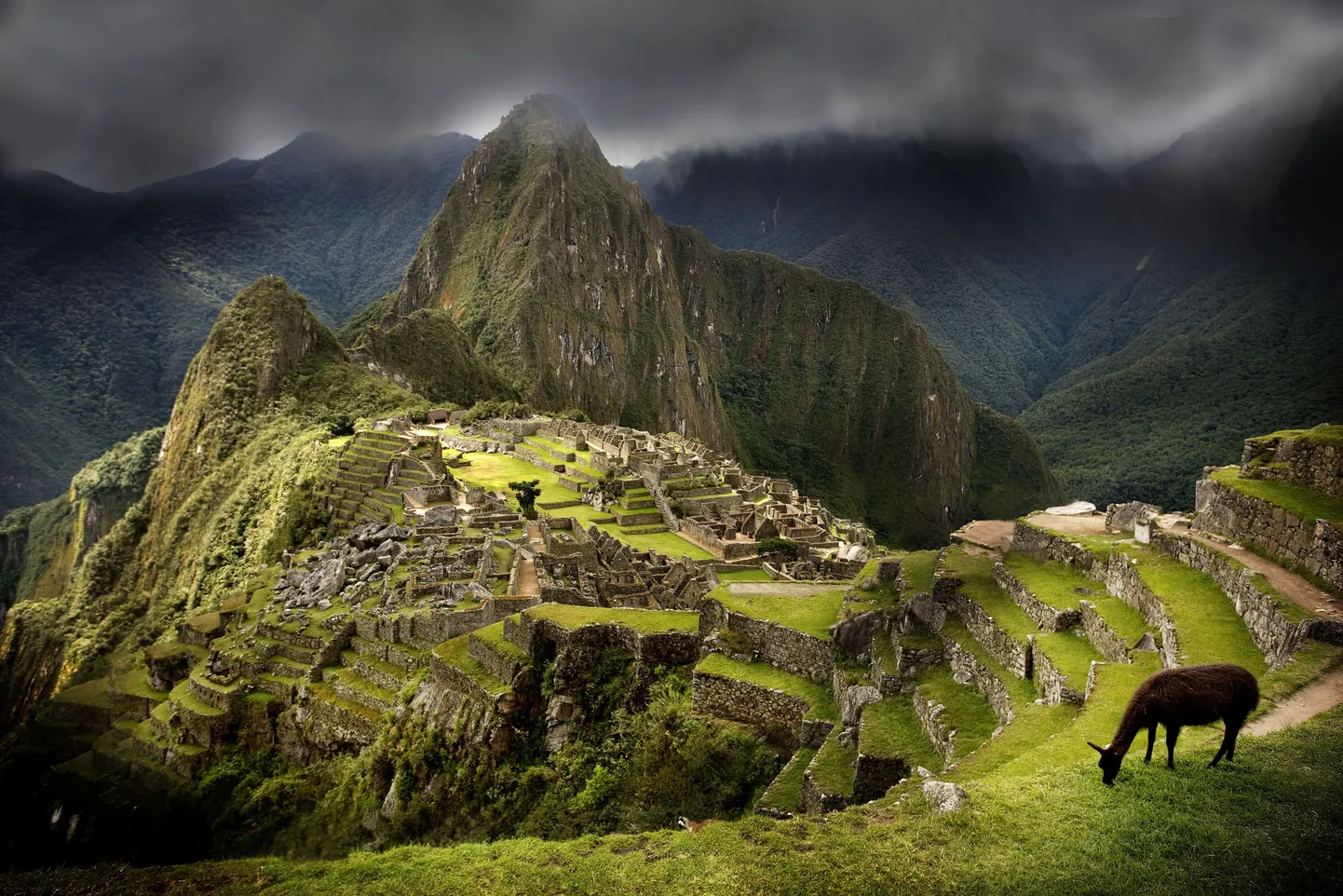 Machu Picchu