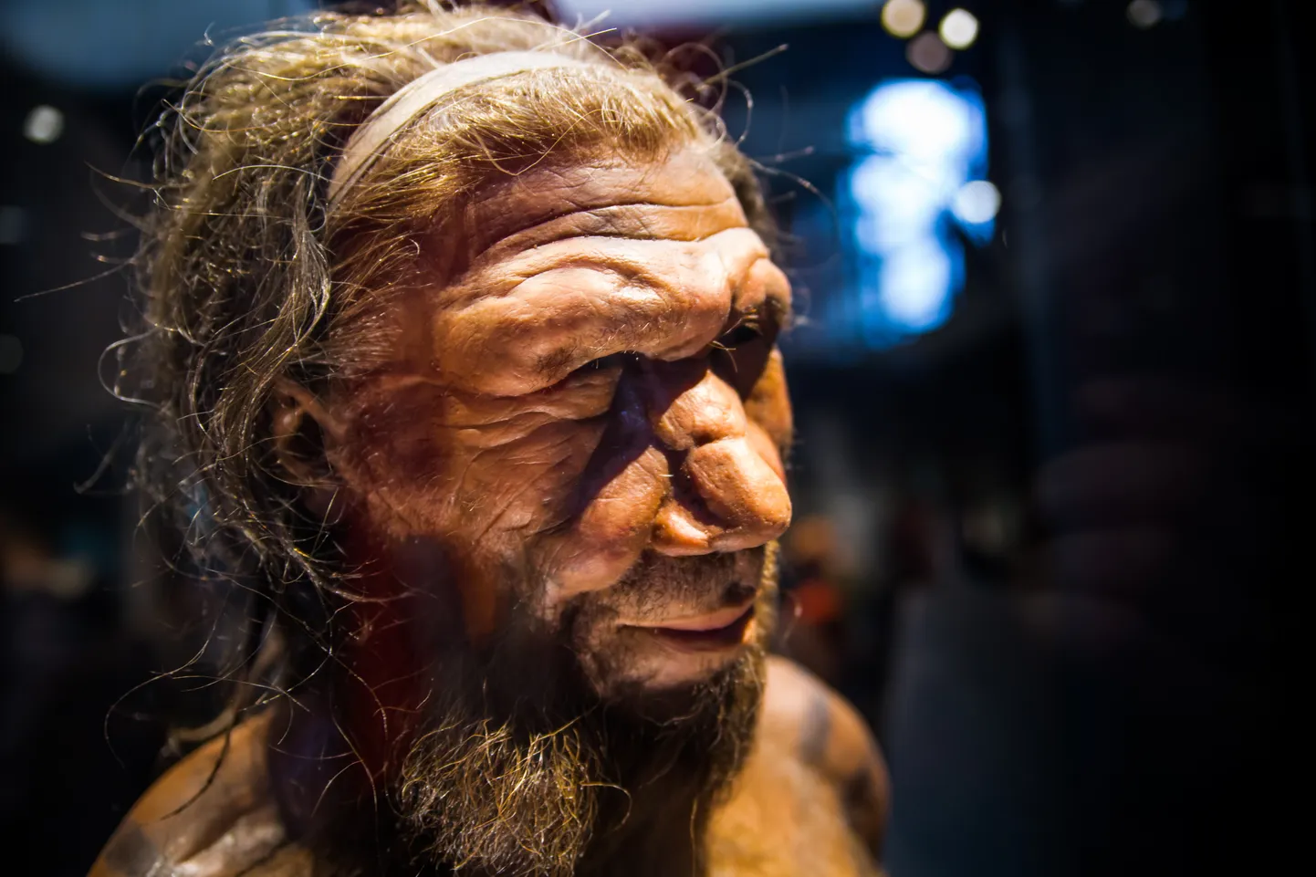 Selline võis neandertali mees välja näha 40 000 aastat tagasi.