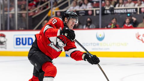 Vilmanis gūst vārtus AHL 