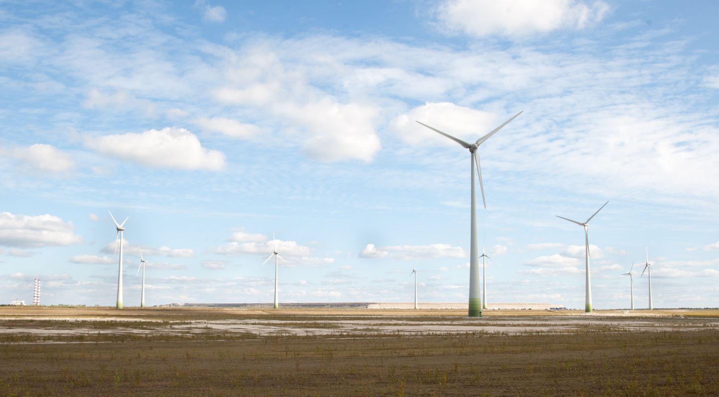 Ida-Virumaa suurim tuulepark, mille Eesti Energia rajas ligemale kümme aastat tagasi, asub Narva lähedal.