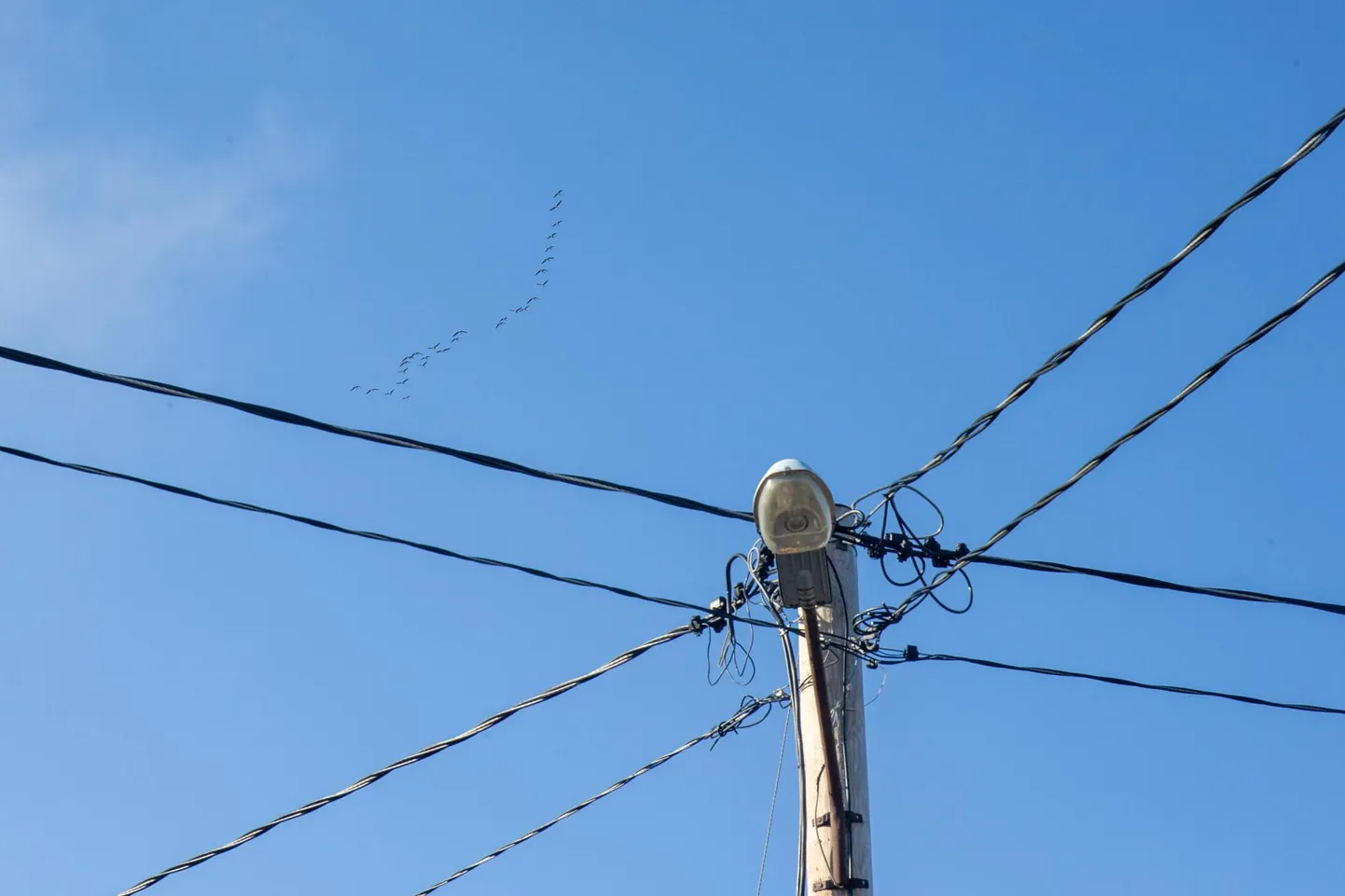 Elektripost.