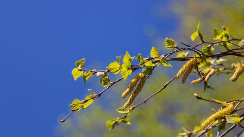 Потепление на планете поставит очередной рекорд в 2025 году