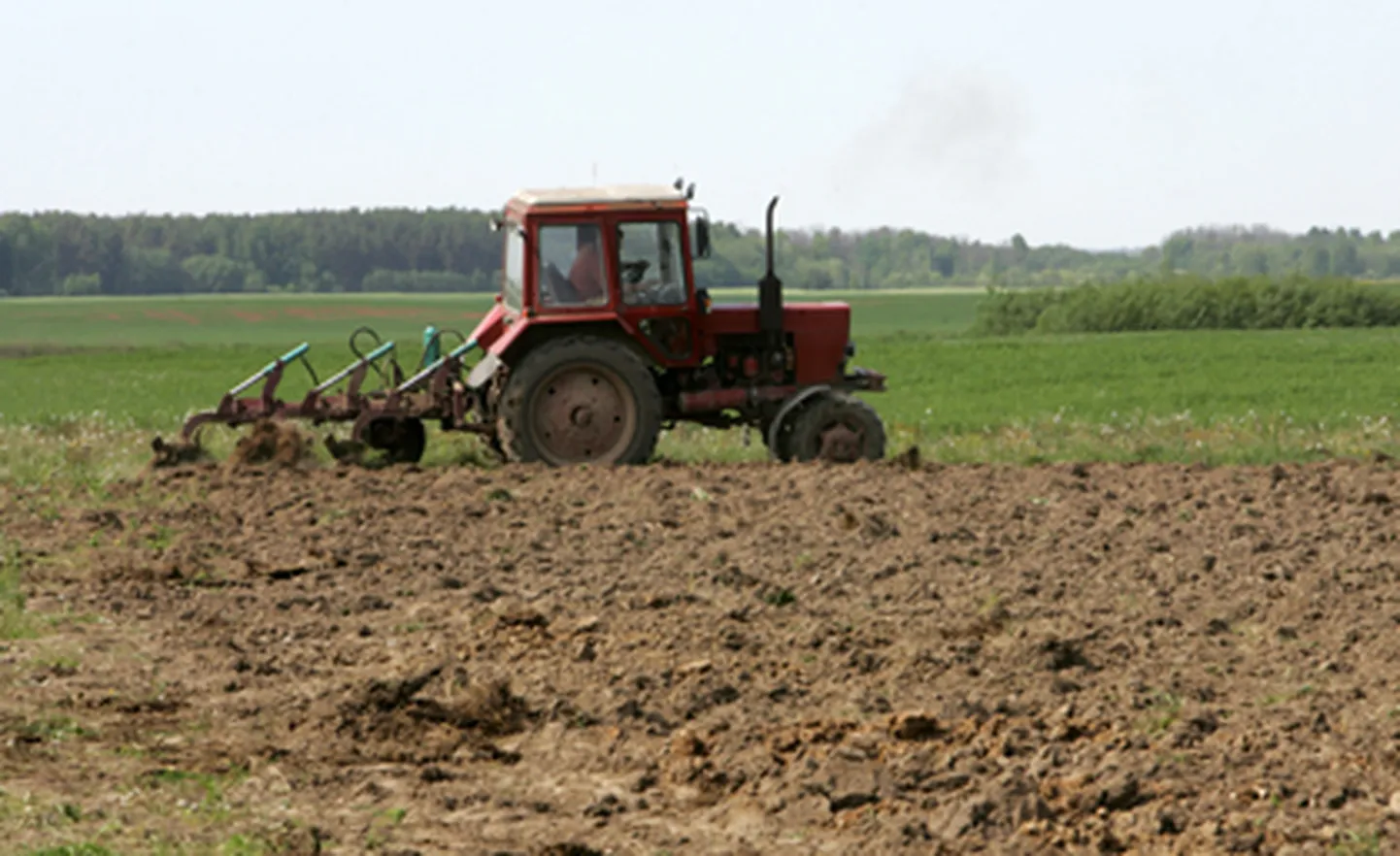 Raksta foto