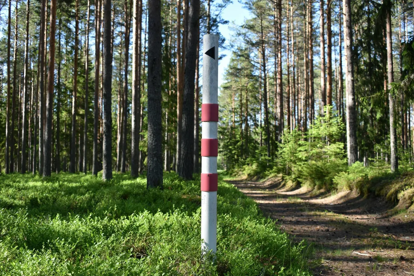 Vältimaks inimeste juhuslikku sattumist harjutusvälja ohualale väljaõppe ajal, on selle piirid tähistatud valge-punase- või kollase-punasetriibuliste postidega. Igal postil on väike must nool, mis näitab, kuhu poole postist jääb harjutusväli.