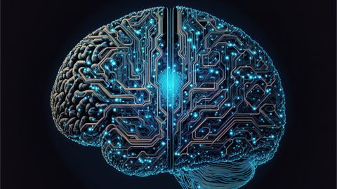 Company builds life-saving test systems from brains of the recently deceased