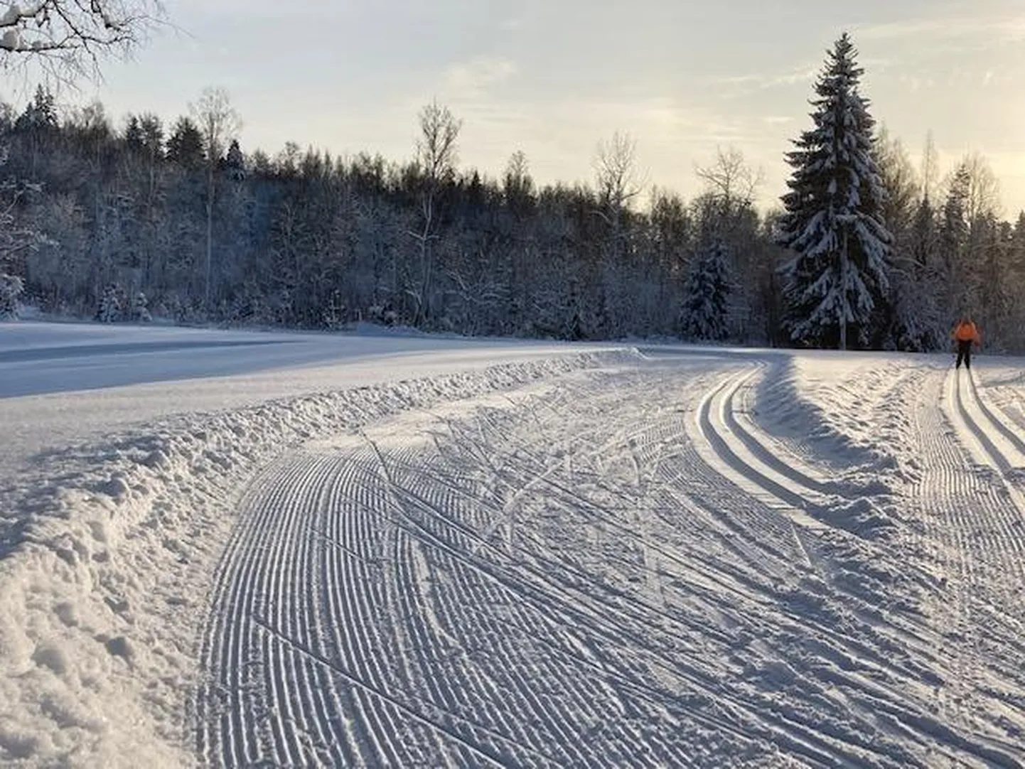 Mõedaku suusarajad.