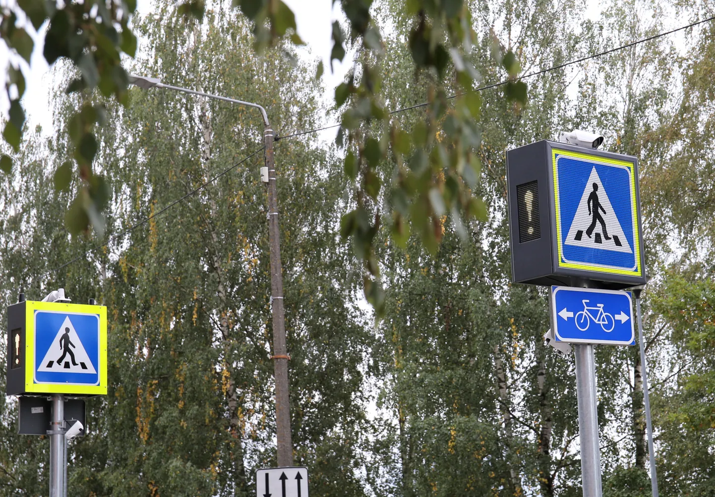 Jalgrattur sai hoobi ülekäigurada ületades, kus liiklus reguleeris ka foor. Foto on illustratiivne.