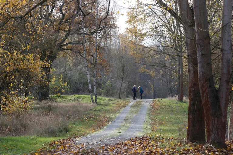 Park, kust 8. novembril leiti arvatava kannibali ohvri säilmed.