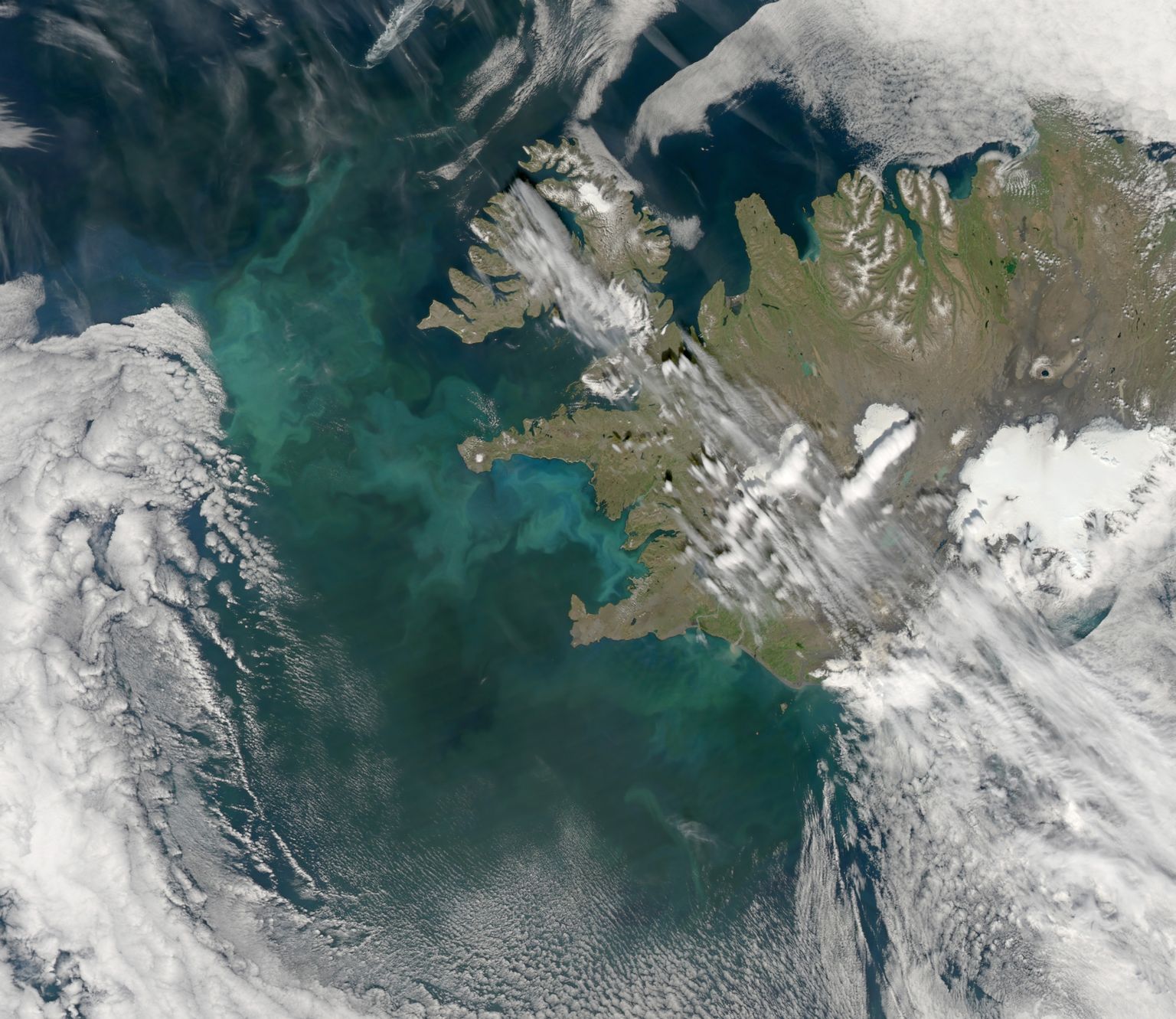 Fütoplanktoni õitseng Põhja-Atlandi ookeanis. Pilt on illustreeriv.