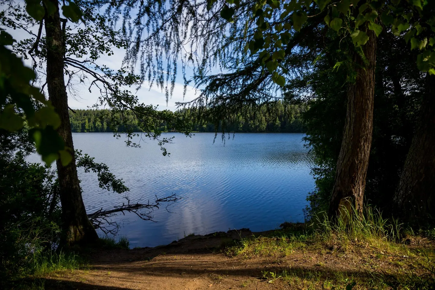 Enamik uppumisi on toimunud siseveekogudes.