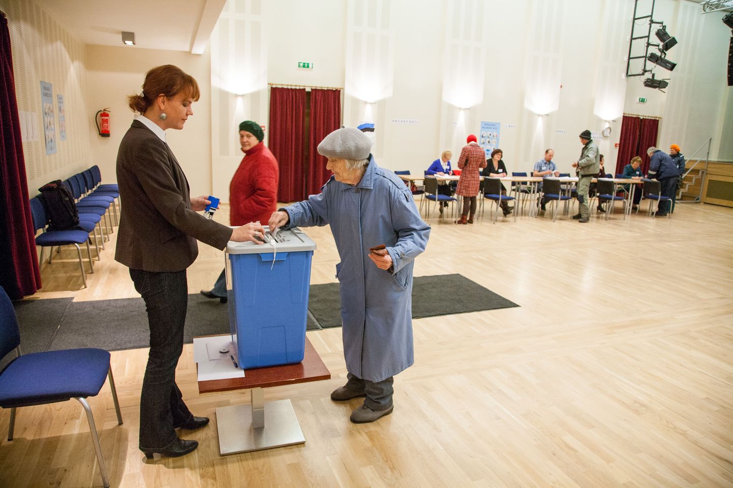 Местные выборы 2013.