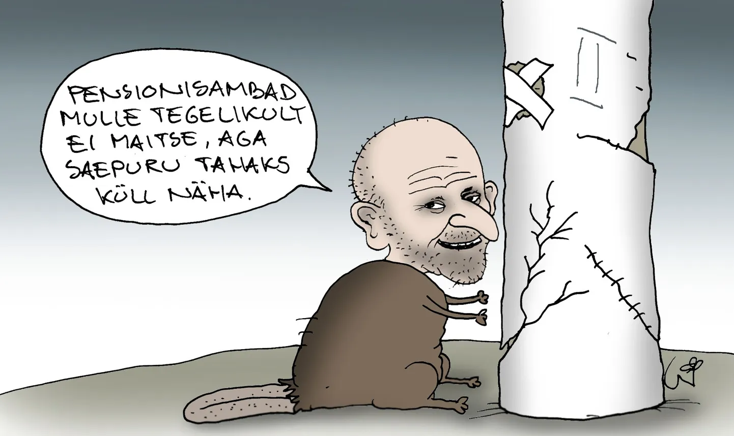 13. augusti karikatuur