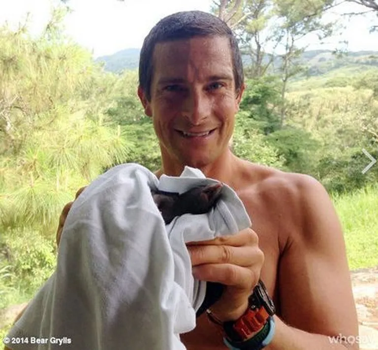 Bear Grylls