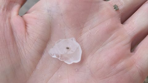 VIDEO JA FOTOD ⟩ Paidet tabanud hoovihm tekitas kesklinna parklasse taas üleujutuse