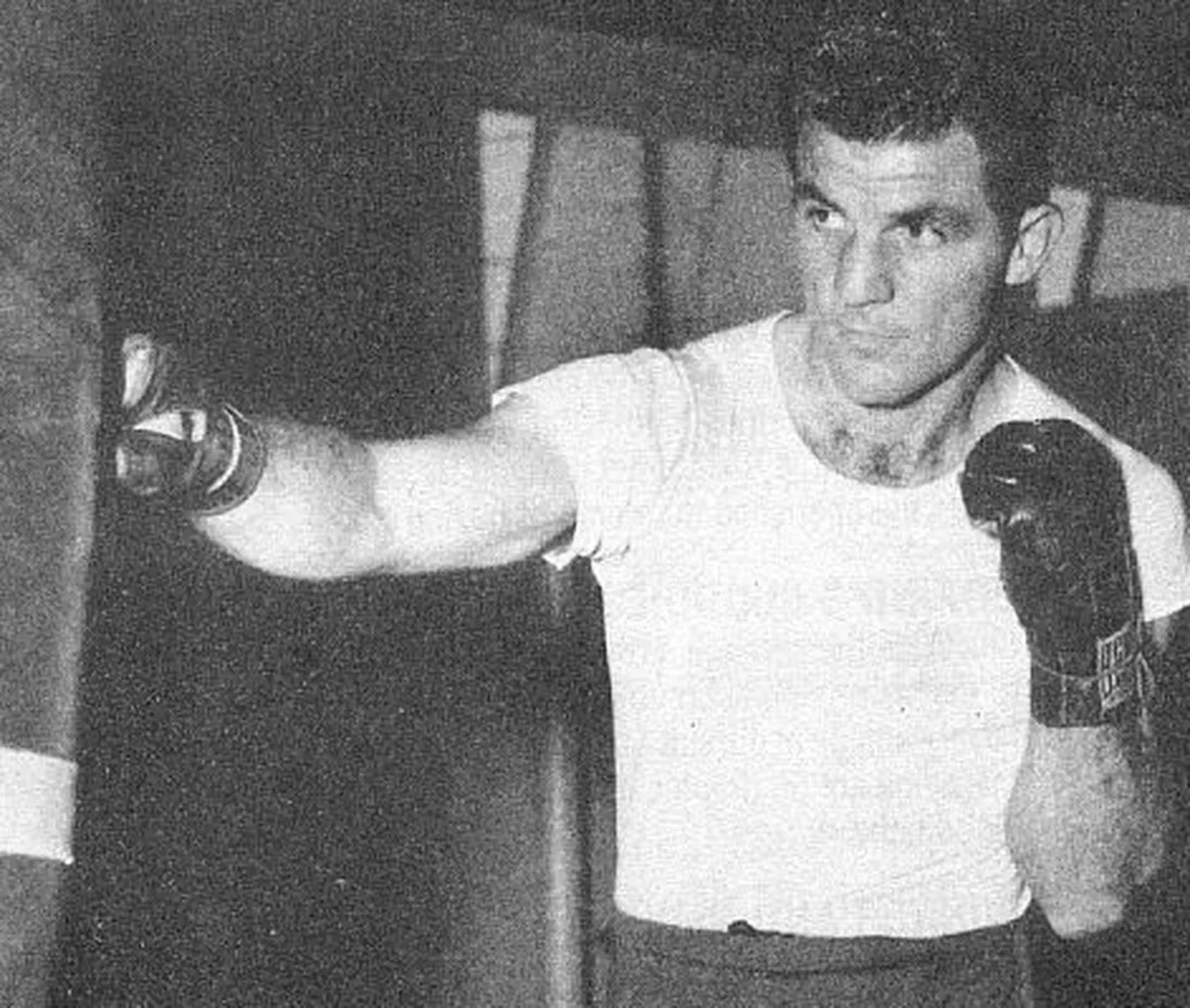 Lou Filippo